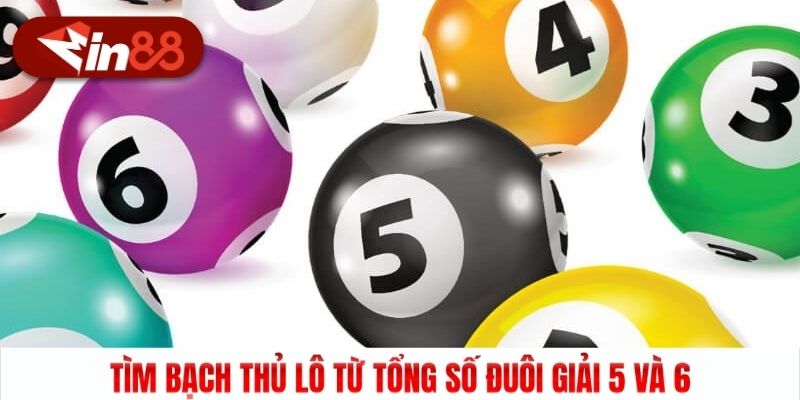 Tìm bạch thủ lô từ tổng số đuôi giải 5 và 6