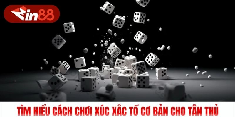 Tìm hiểu cách chơi Xúc Xắc Tố cơ bản cho tân thủ