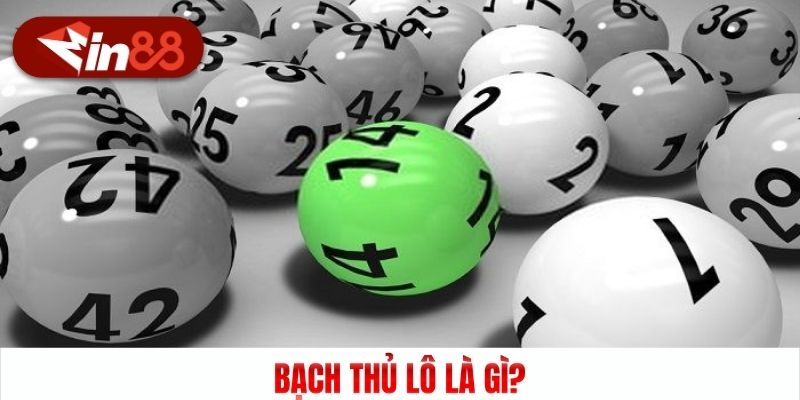 Bạch thủ lô là gì?