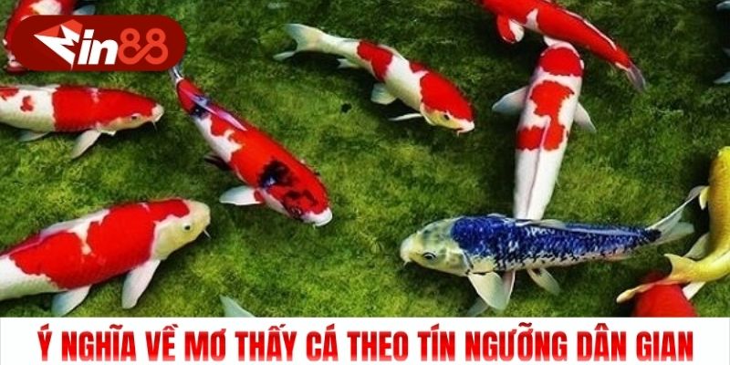 Ý nghĩa về mơ thấy cá theo tín ngưỡng dân gian