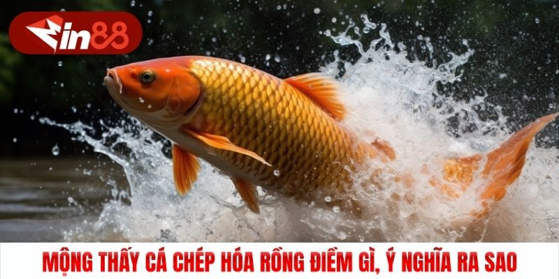 Mông thấy cá chép hóa rồng điềm gì, ý nghĩa ra sao