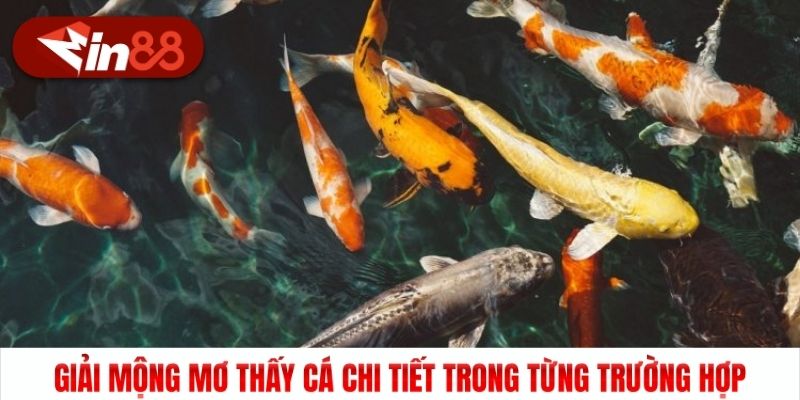 Giải mộng mơ thấy cá chi tiết trong từng trường hợp