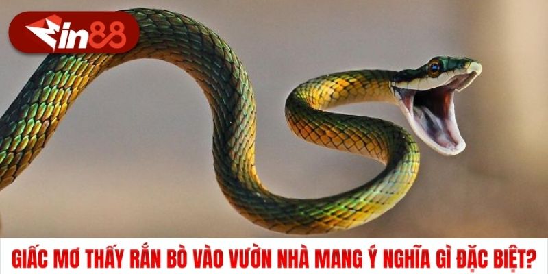 Giấc mơ thấy rắn bò vào vườn nhà mang ý nghĩa gì đặc biệt?